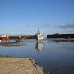 FHC Sprachreisen - Folkestone, England - Hafen