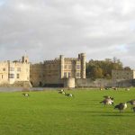 FHC Sprachreisen - Leeds Castle 10