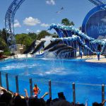 FHC Sprachreisen - Sea World Florida USA