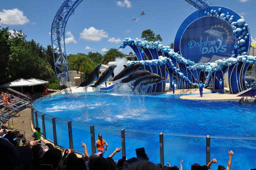 FHC Sprachreisen - Sea World Florida USA FHC Sprachreisen - Sea World Florida USA