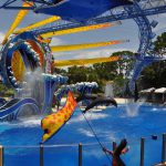 FHC Sprachreisen - Florida USA Sea World