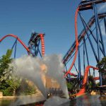 FHC Sprachreisen - Busch Gardens Shikra 1